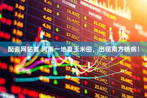 配资网站首 河南一地夏玉米田，出现南方锈病！